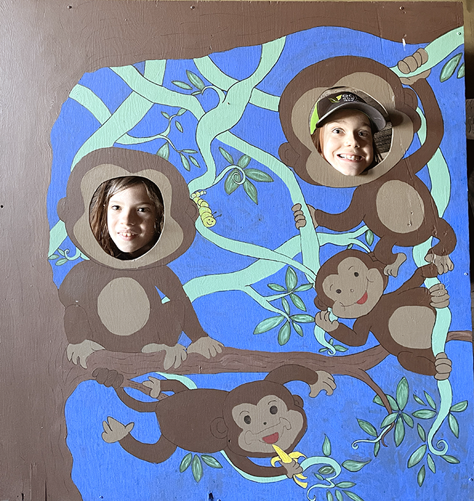 Monkey Head Cutout